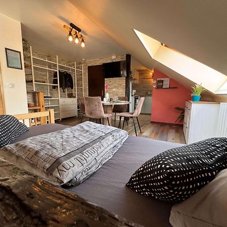 Private & Comfortable Apartments Puttelange-aux-Lacs エクステリア 写真
